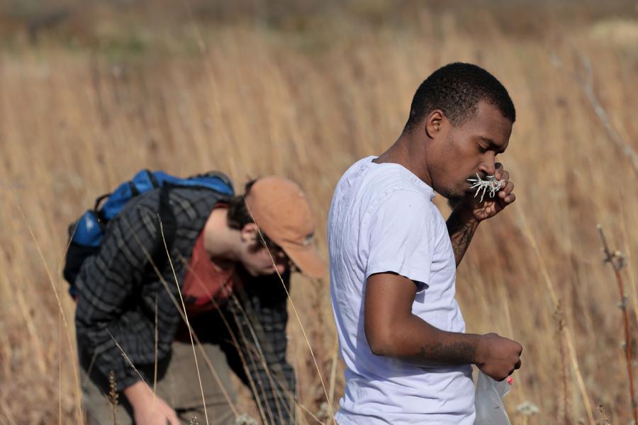 A student stands in the prairie among tall grasses.